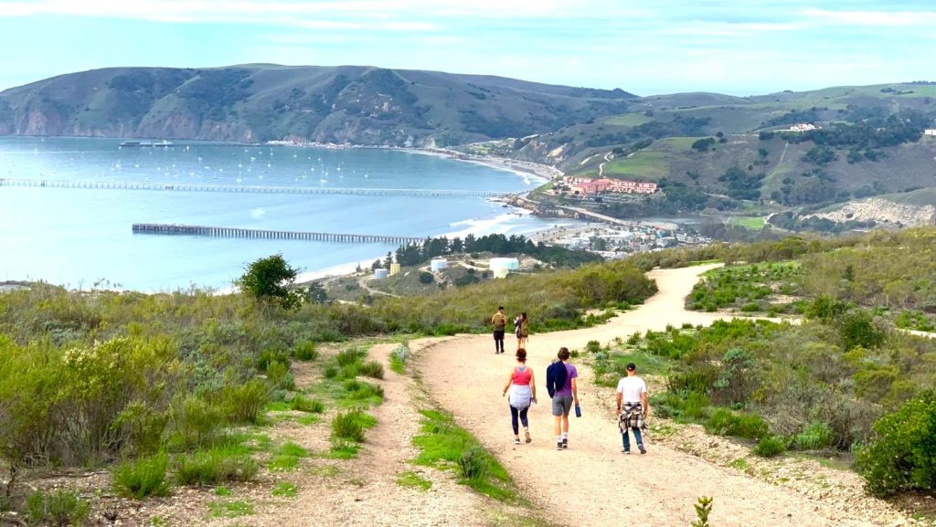 Exploring Sycamore Trail: Your Ultimate Guide to Avila Beach